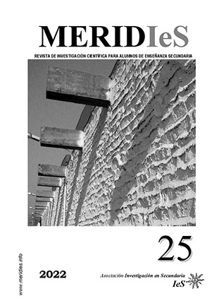 Meridies 24